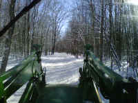 IMG00063-20110130-1045.jpg (754341 bytes)
