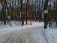 IMG00068-20110130-1235.jpg (552175 bytes)