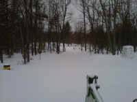 IMG00077-20110202-1000.jpg (431291 bytes)