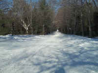 new trail pics 012.jpg (2352951 bytes)