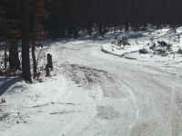 new trail pics 2-22-11 002.jpg (3282911 bytes)