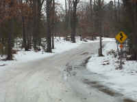 new trail pics 2-22-11 006.jpg (2536036 bytes)