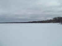 new trail pics 2-22-11 017.jpg (1271024 bytes)