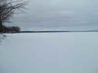 new trail pics 2-22-11 019.jpg (1726319 bytes)