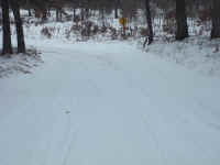 new trail pics 2-22-11 021.jpg (3023976 bytes)