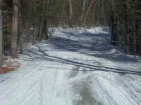 new trail pics 2-22-11 031.jpg (3104891 bytes)