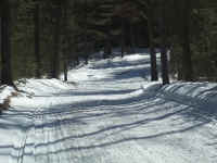 new trail pics 2-22-11 032.jpg (3049427 bytes)