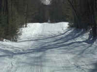 new trail pics 2-22-11 033.jpg (3215358 bytes)