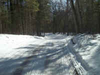 new trail pics 2-22-11 036.jpg (2576279 bytes)