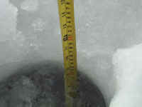 new trail pics 2-22-11 004.jpg (2459798 bytes)