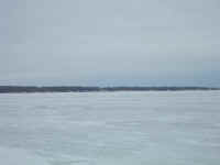 new trail pics 2-22-11 006.jpg (2325356 bytes)