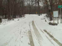 new trail pics 2-22-11 027.jpg (1987530 bytes)