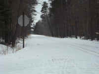 new trail pics 2-22-11 036.jpg (2969619 bytes)