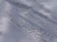 PICT0273.JPG (479982 bytes)