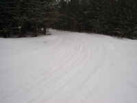 Houghton Lake trails, snowmobile trail pic, snowmobile trail 654.