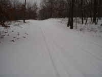 trail 655, Houghton Lake, snowmobile trails.